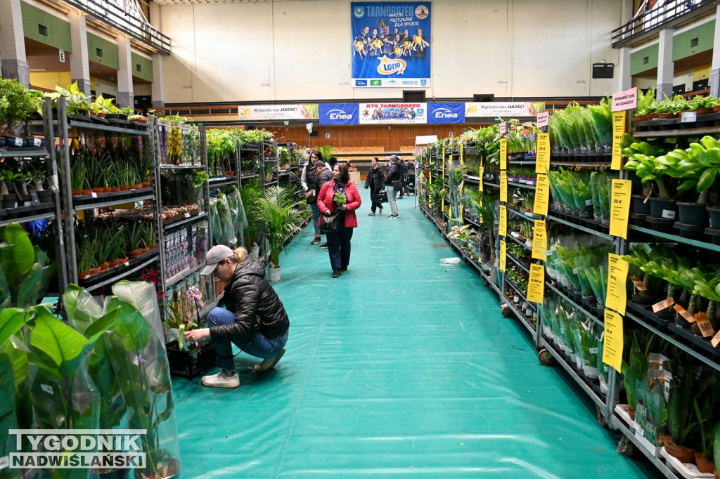 Festiwal Roślin w Tarnobrzegu - marzec 2026