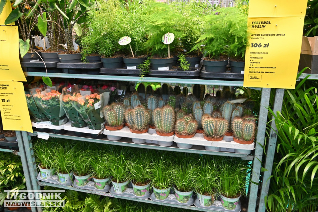 Festiwal Roślin w Tarnobrzegu - marzec 2026