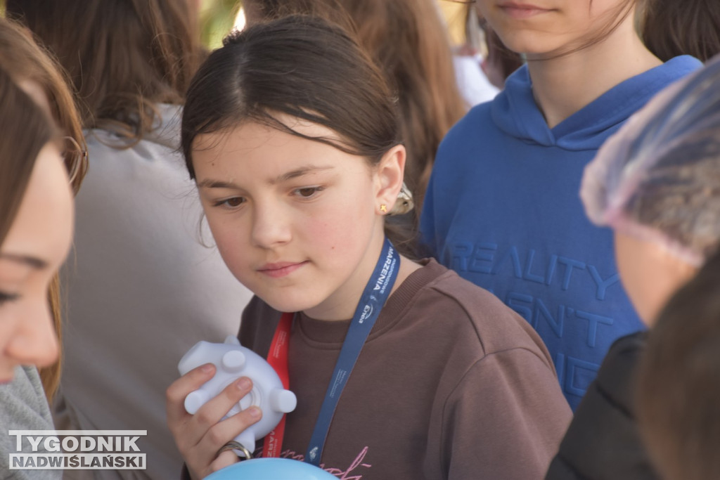 III Festiwal Zawodów w Tarnobrzegu