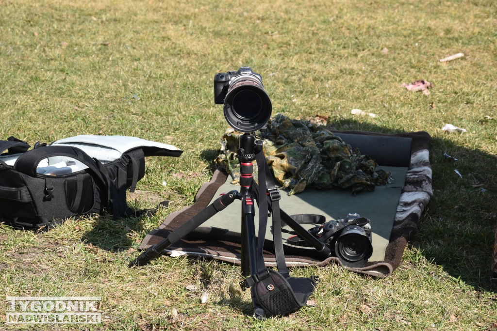 III Festiwal Zawodów w Tarnobrzegu