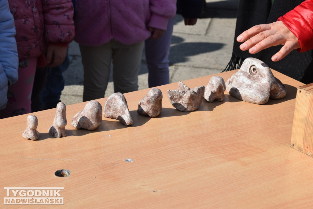 III Festiwal Zawodów w Tarnobrzegu