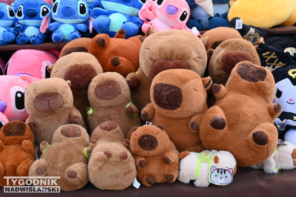 Jarmark Wielkanocny w Tarnobrzegu