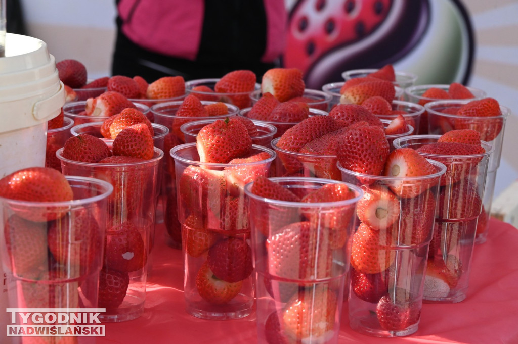 Jarmark Wielkanocny w Tarnobrzegu