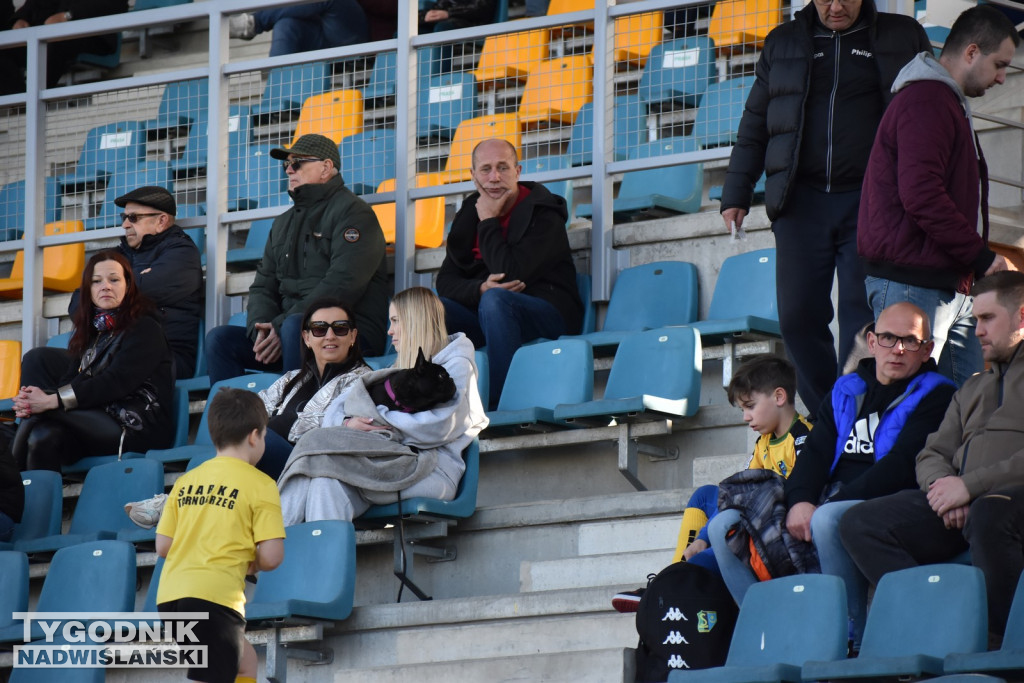 Zdjęcia kibiców na meczu Siarka - Chełmianka