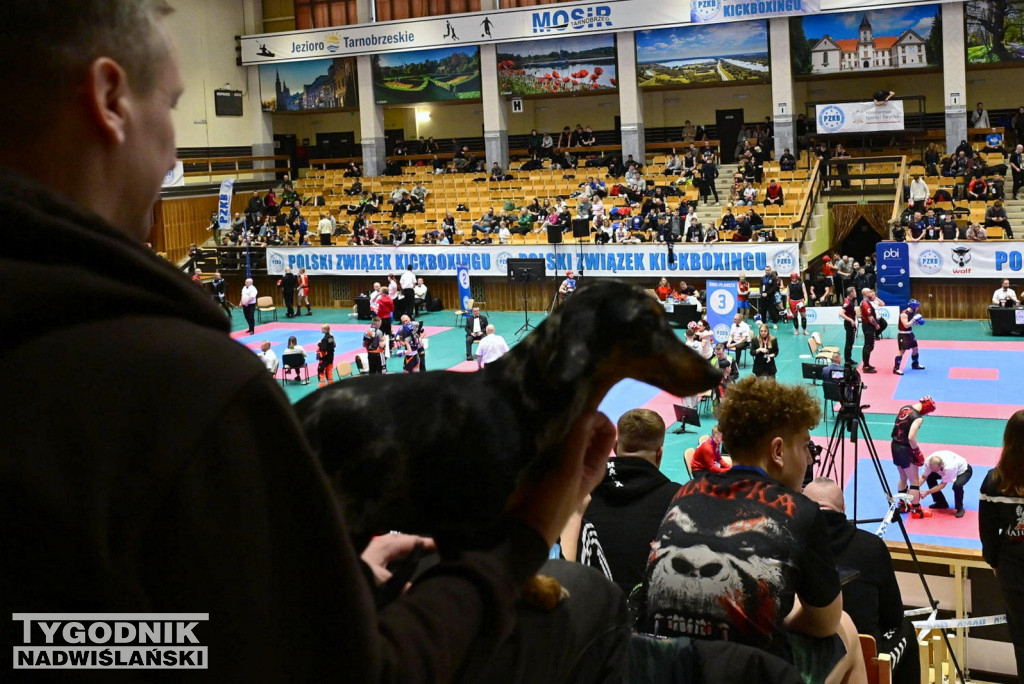 Mistrzostwa Polski w kickboxingu w Tarnobrzegu