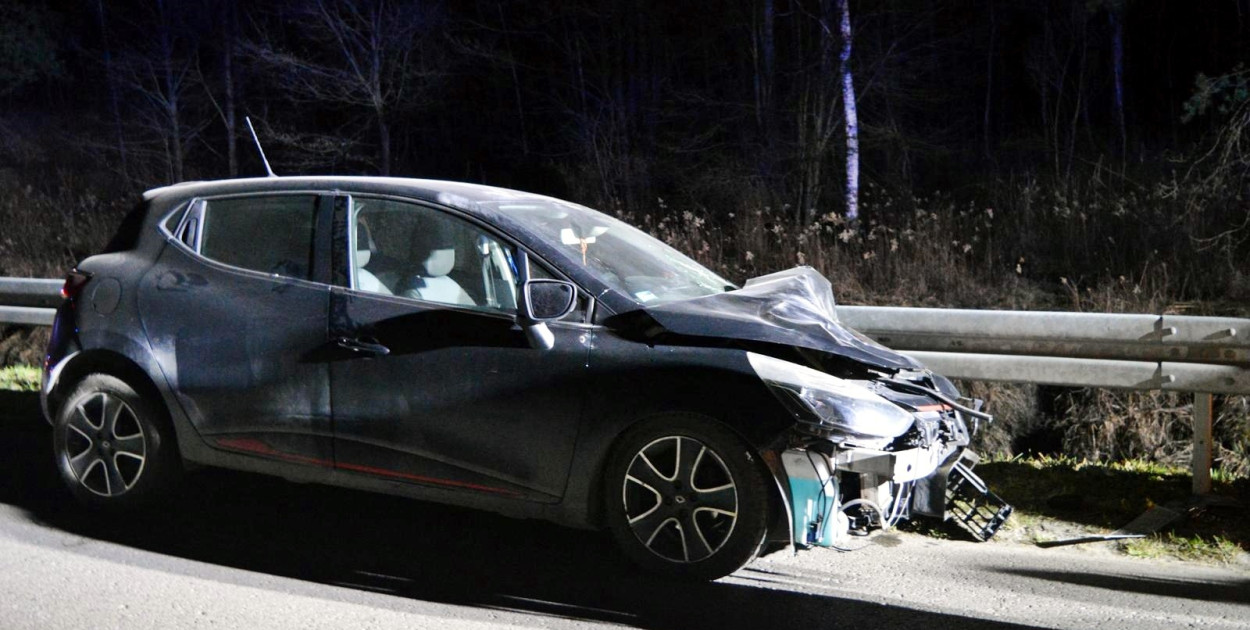 Zderzenie z łanią w Alfredówce