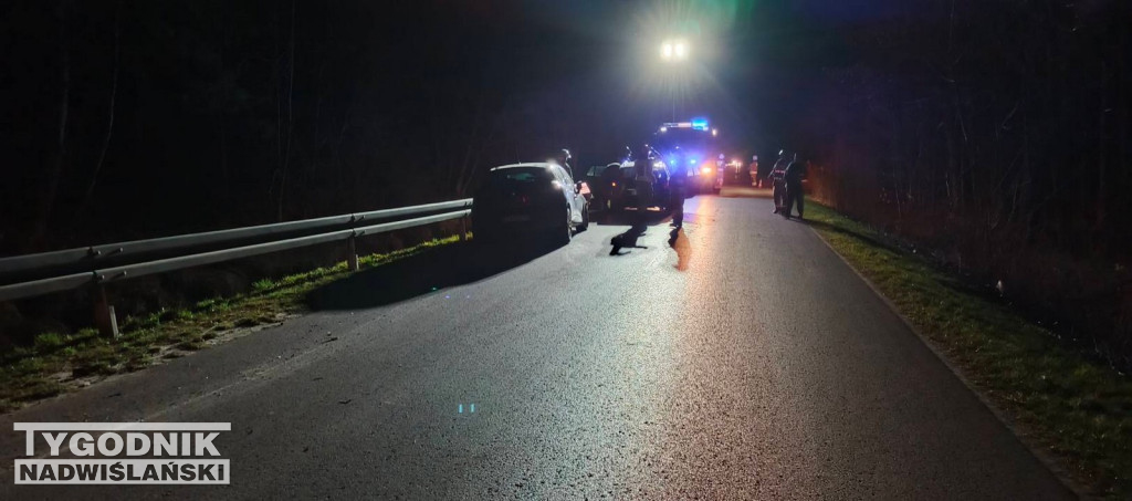 Zderzenie z łanią w Alfredówce