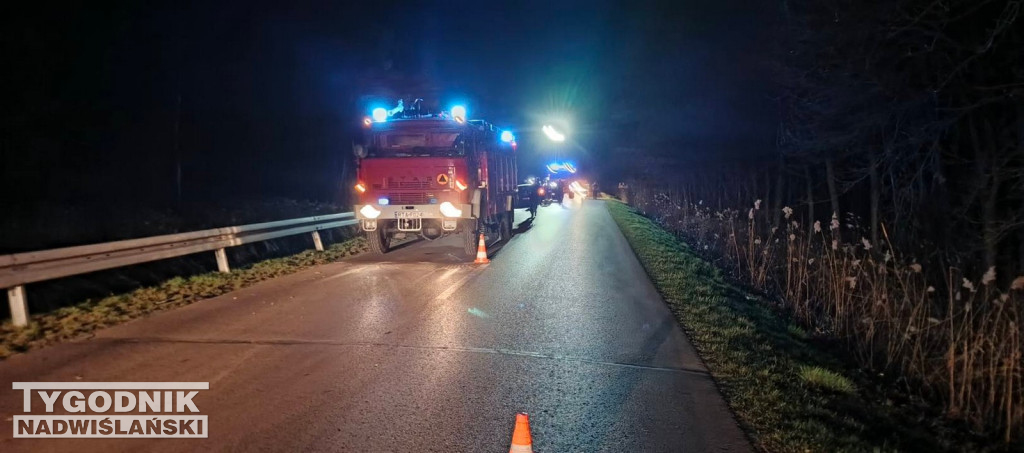 Zderzenie z łanią w Alfredówce