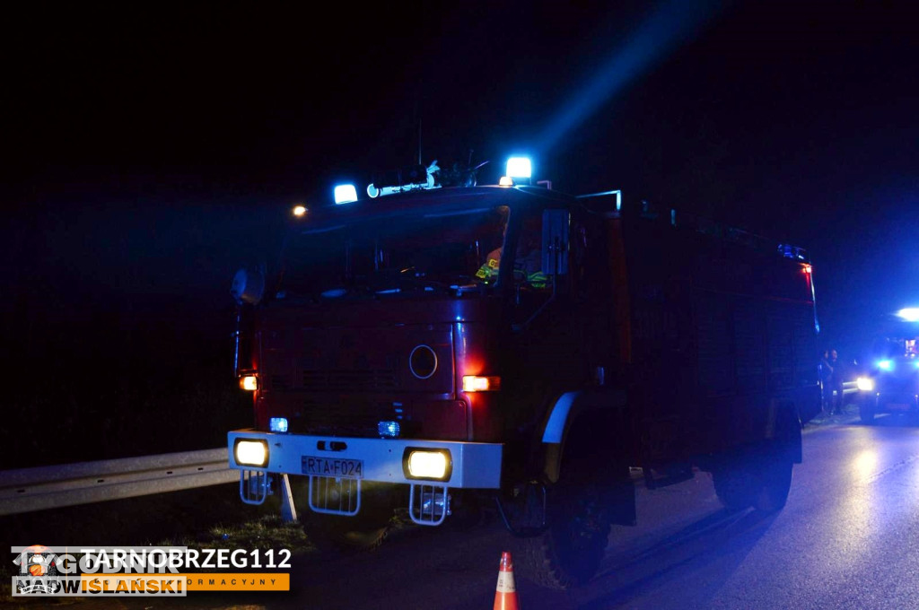 Zderzenie z łanią w Alfredówce