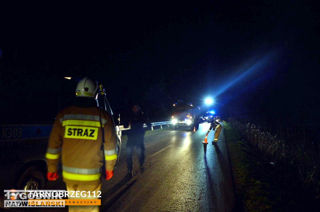 Zderzenie z łanią w Alfredówce