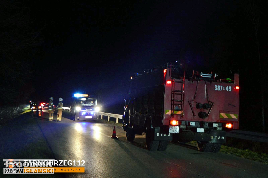 Zderzenie z łanią w Alfredówce