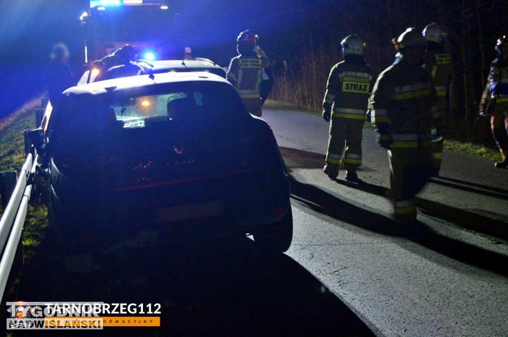 Zderzenie z łanią w Alfredówce