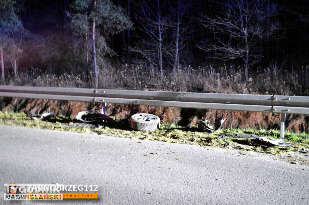 Zderzenie z łanią w Alfredówce