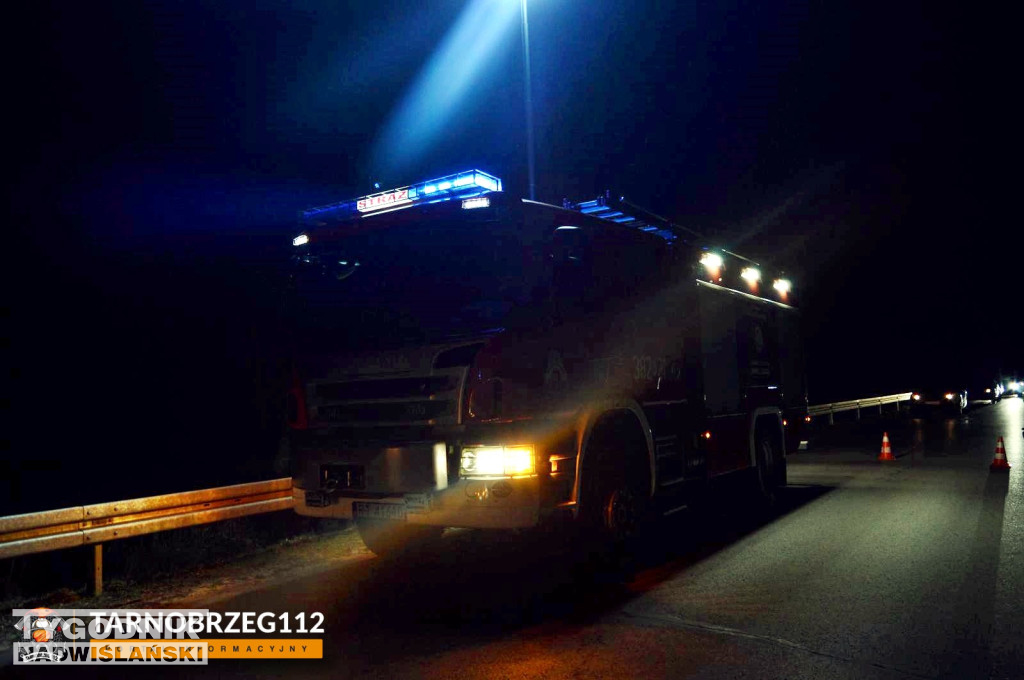 Zderzenie z łanią w Alfredówce