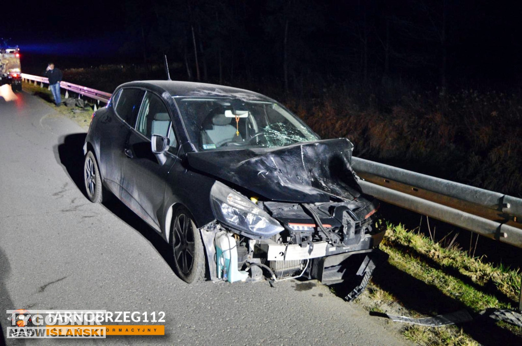 Zderzenie z łanią w Alfredówce