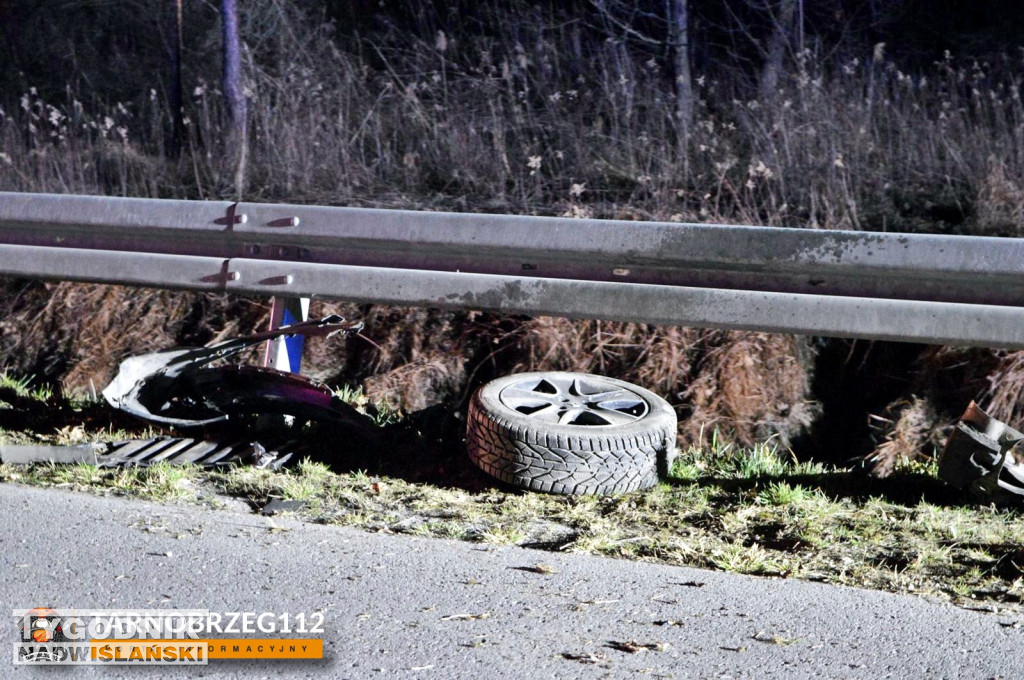 Zderzenie z łanią w Alfredówce