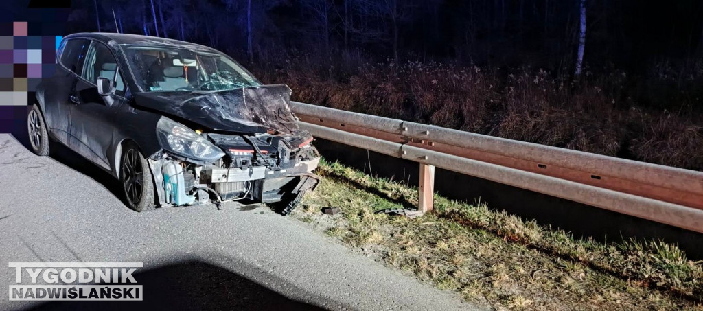 Zderzenie z łanią w Alfredówce