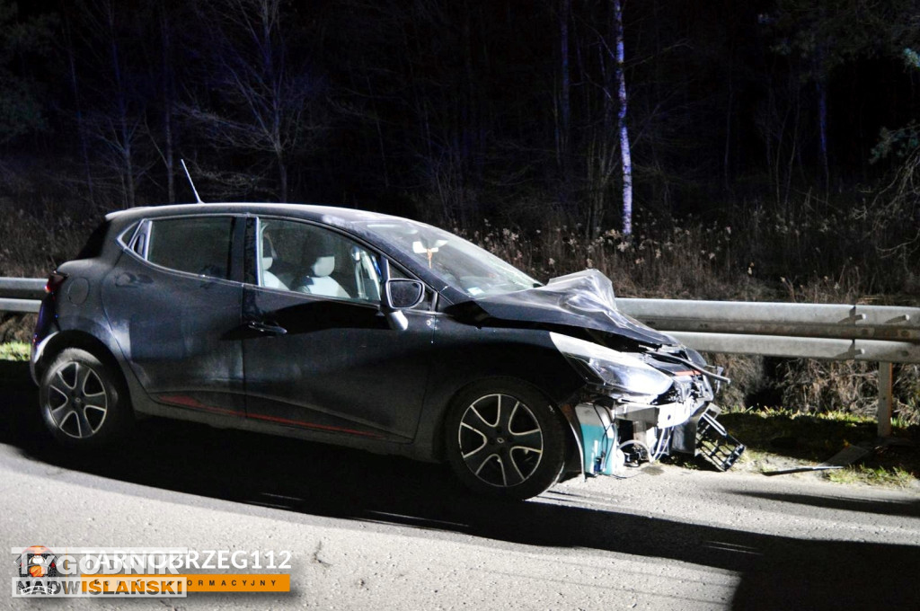 Zderzenie z łanią w Alfredówce