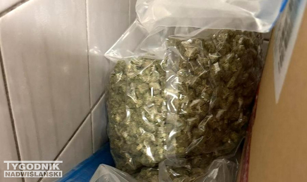 Przechwycili narkotyki z Czech