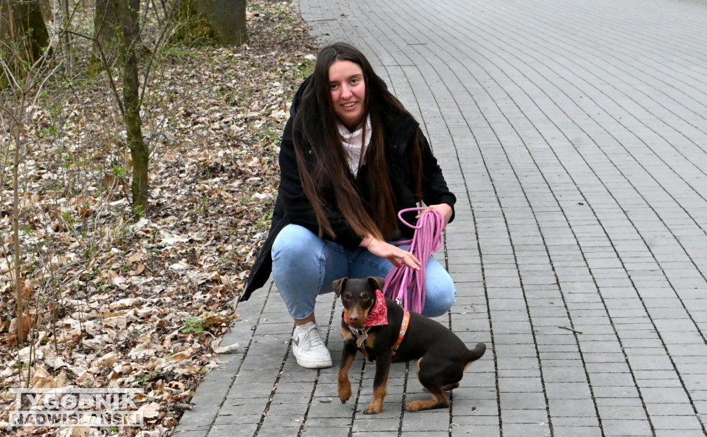 Piknik dla Schroniska u Machowiaków w Tarnobrzegu