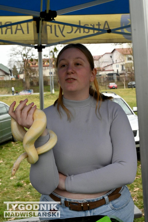 Piknik dla Schroniska u Machowiaków w Tarnobrzegu
