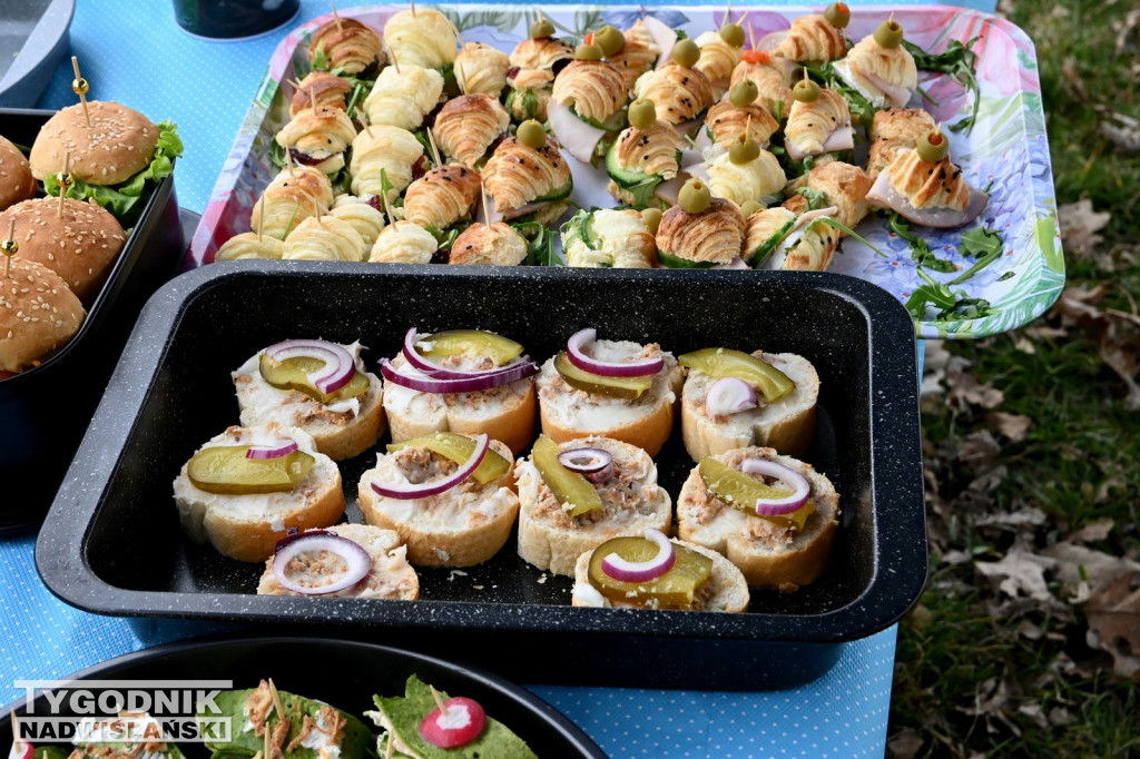 Piknik dla Schroniska u Machowiaków w Tarnobrzegu