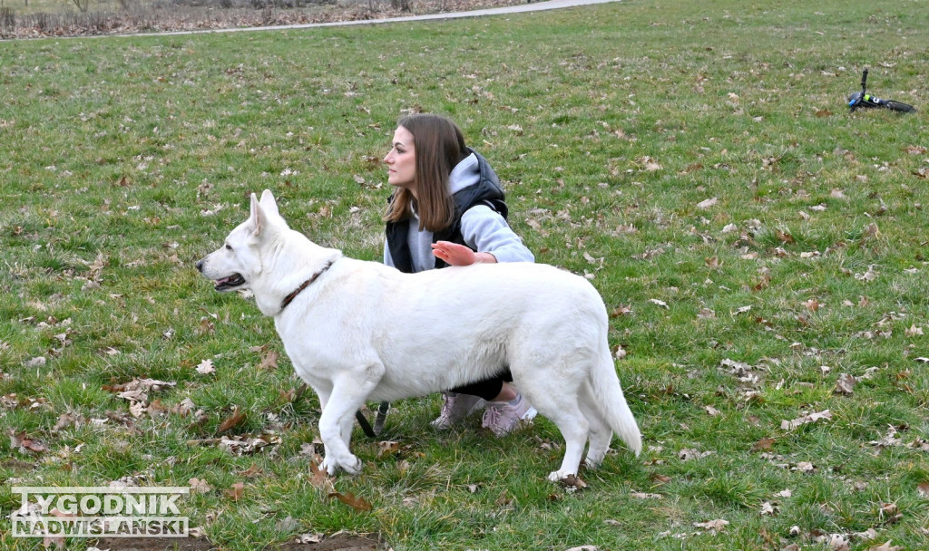 Piknik dla Schroniska u Machowiaków w Tarnobrzegu