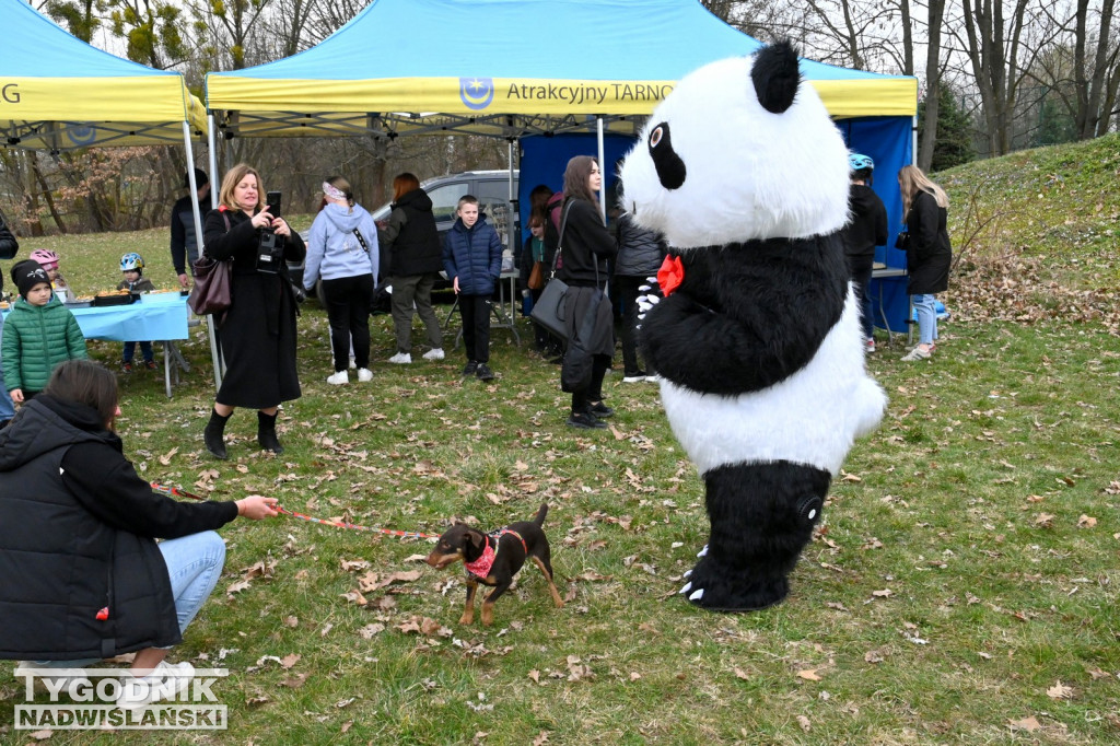 Piknik dla Schroniska u Machowiaków w Tarnobrzegu