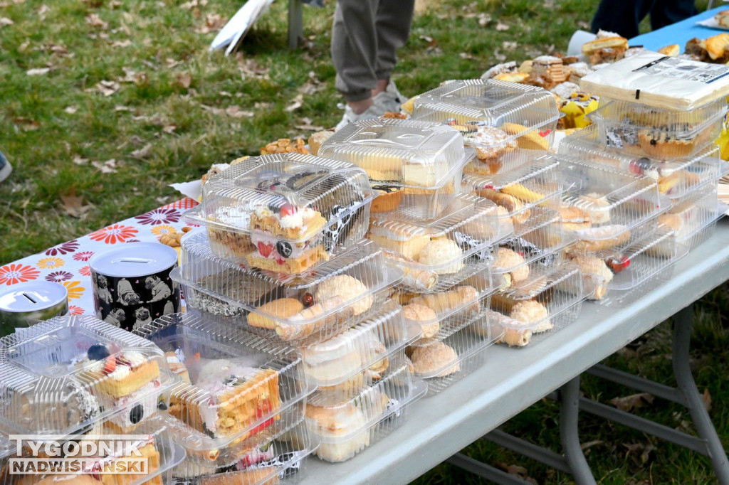 Piknik dla Schroniska u Machowiaków w Tarnobrzegu