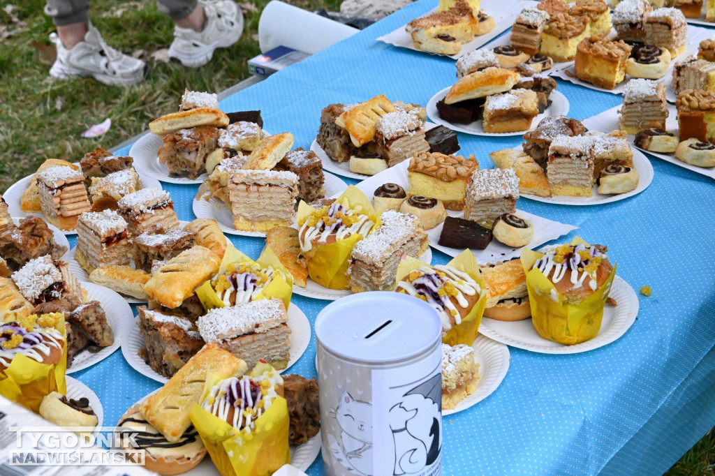 Piknik dla Schroniska u Machowiaków w Tarnobrzegu