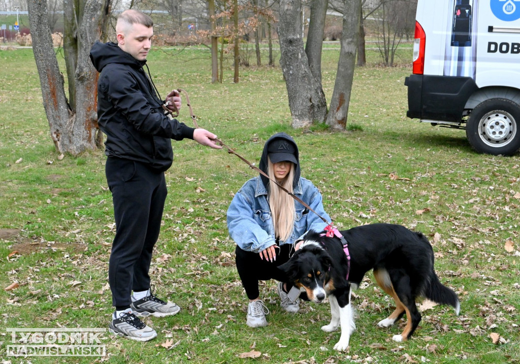 Piknik dla Schroniska u Machowiaków w Tarnobrzegu