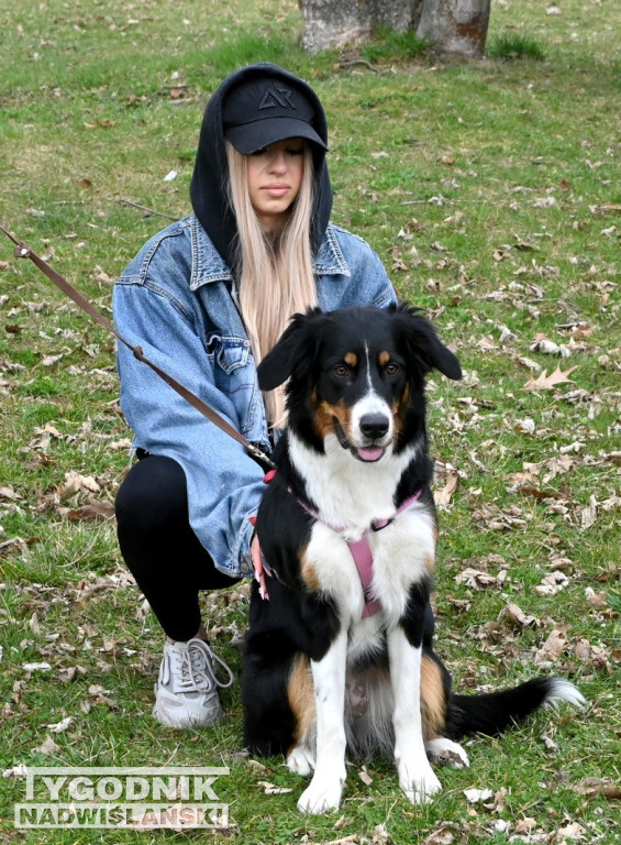 Piknik dla Schroniska u Machowiaków w Tarnobrzegu