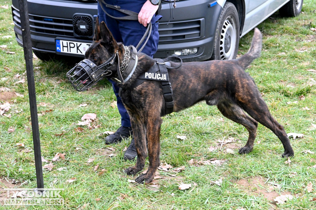 Piknik dla Schroniska u Machowiaków w Tarnobrzegu