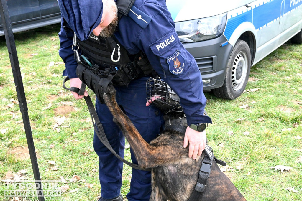 Piknik dla Schroniska u Machowiaków w Tarnobrzegu