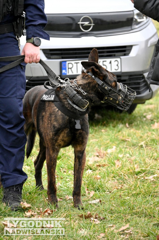 Piknik dla Schroniska u Machowiaków w Tarnobrzegu