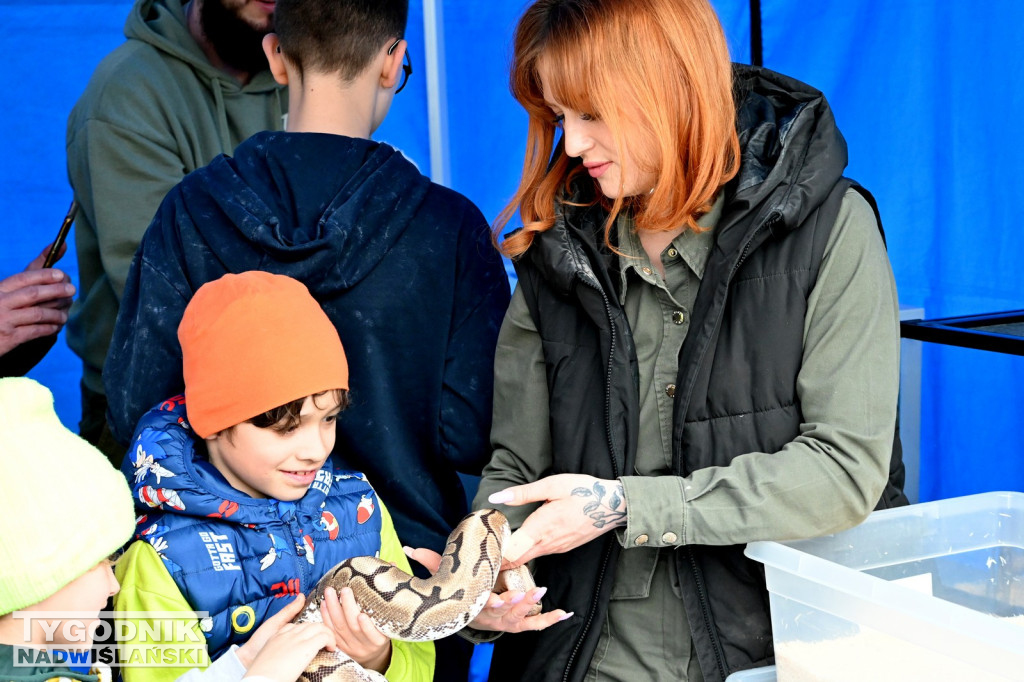 Piknik dla Schroniska u Machowiaków w Tarnobrzegu