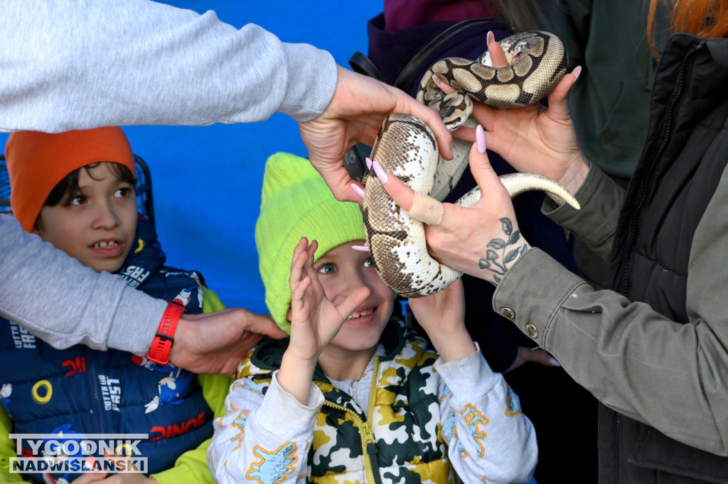 Piknik dla Schroniska u Machowiaków w Tarnobrzegu