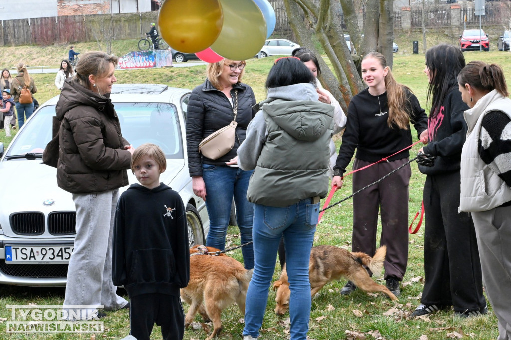 Piknik dla Schroniska u Machowiaków w Tarnobrzegu