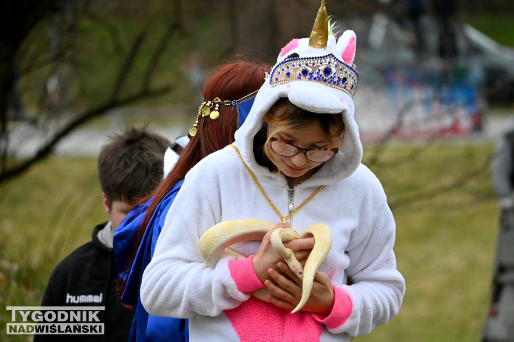 Piknik dla Schroniska u Machowiaków w Tarnobrzegu