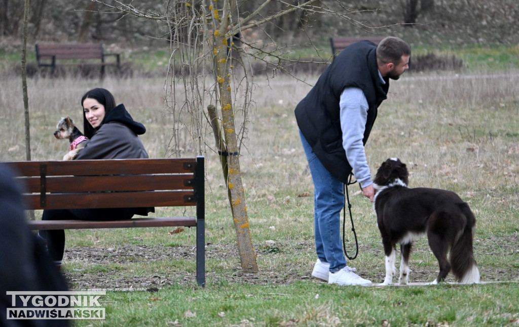 Piknik dla Schroniska u Machowiaków w Tarnobrzegu