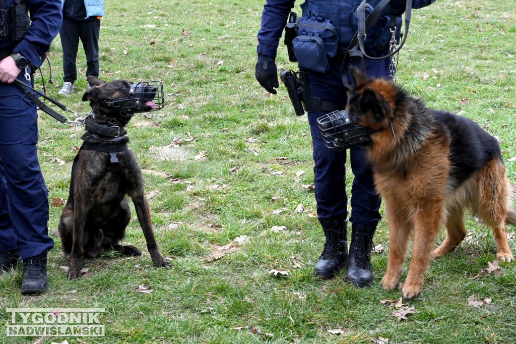 Piknik dla Schroniska u Machowiaków w Tarnobrzegu