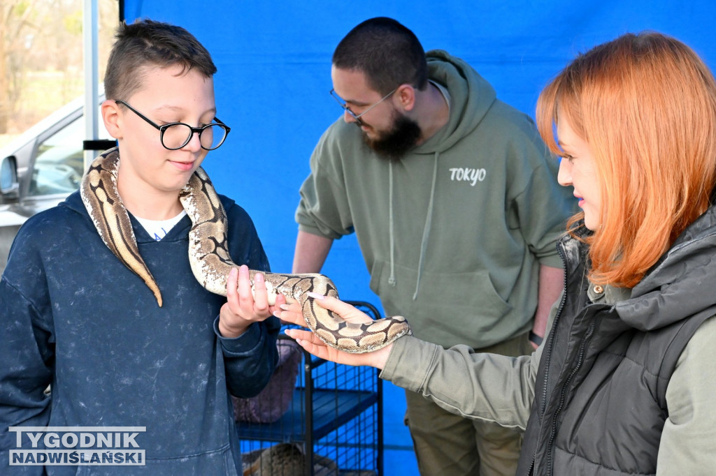 Piknik dla Schroniska u Machowiaków w Tarnobrzegu