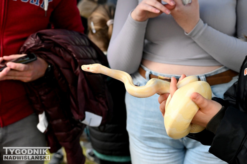 Piknik dla Schroniska u Machowiaków w Tarnobrzegu