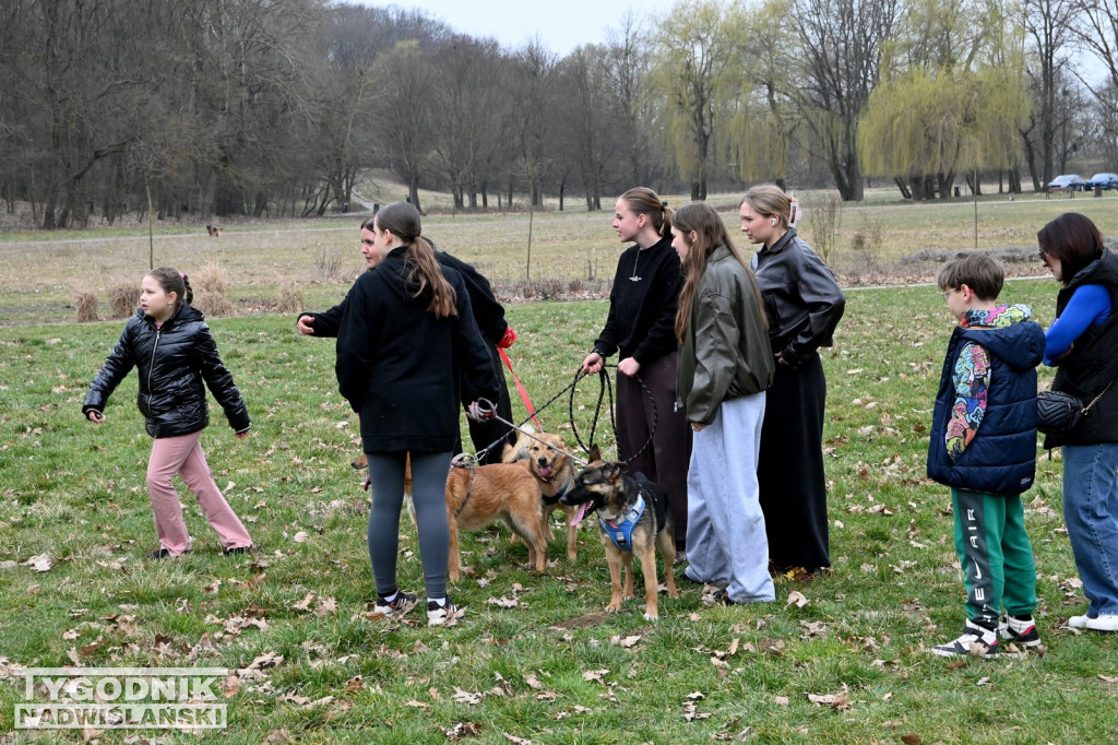 Piknik dla Schroniska u Machowiaków w Tarnobrzegu