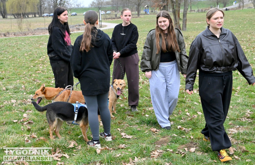 Piknik dla Schroniska u Machowiaków w Tarnobrzegu