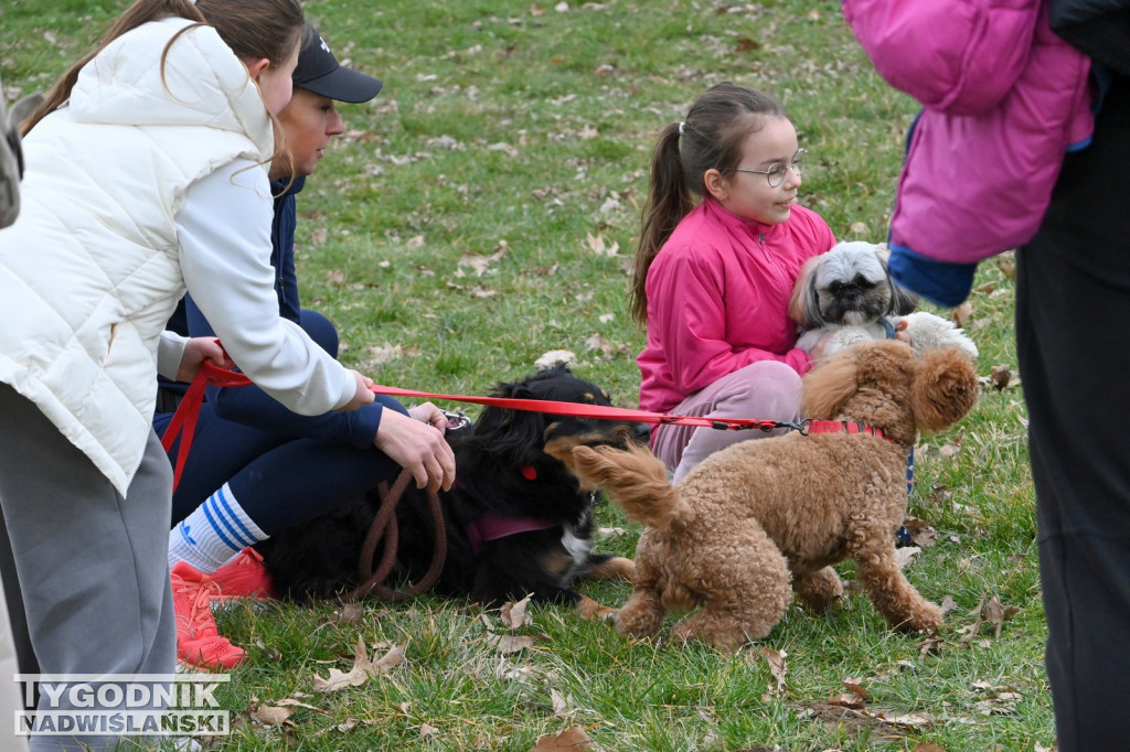 Piknik dla Schroniska u Machowiaków w Tarnobrzegu