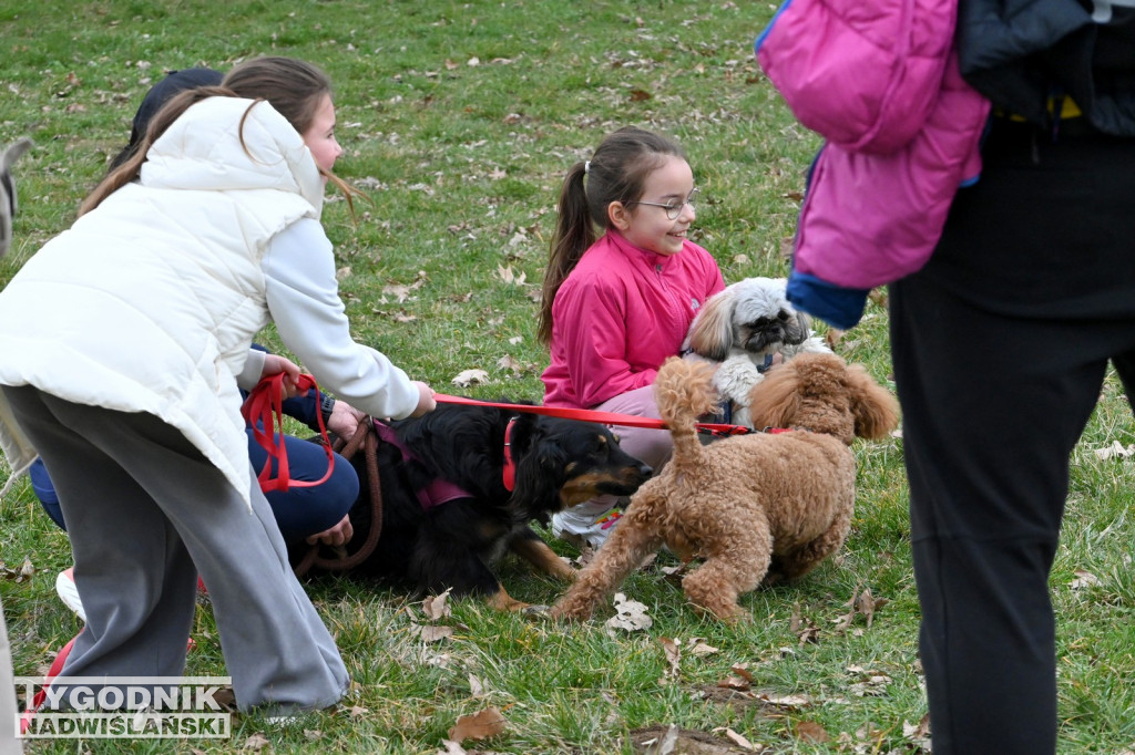 Piknik dla Schroniska u Machowiaków w Tarnobrzegu