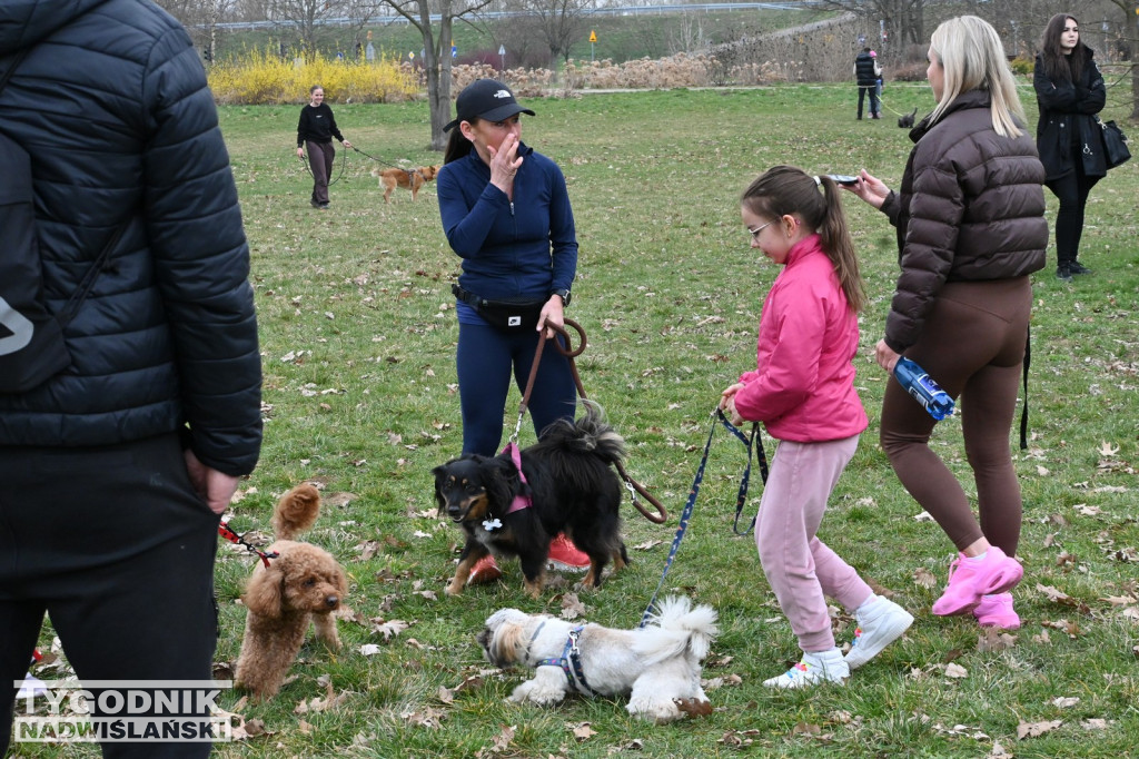 Piknik dla Schroniska u Machowiaków w Tarnobrzegu
