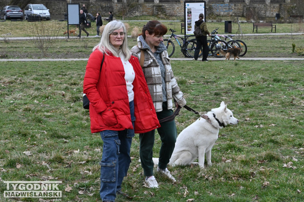 Piknik dla Schroniska u Machowiaków w Tarnobrzegu