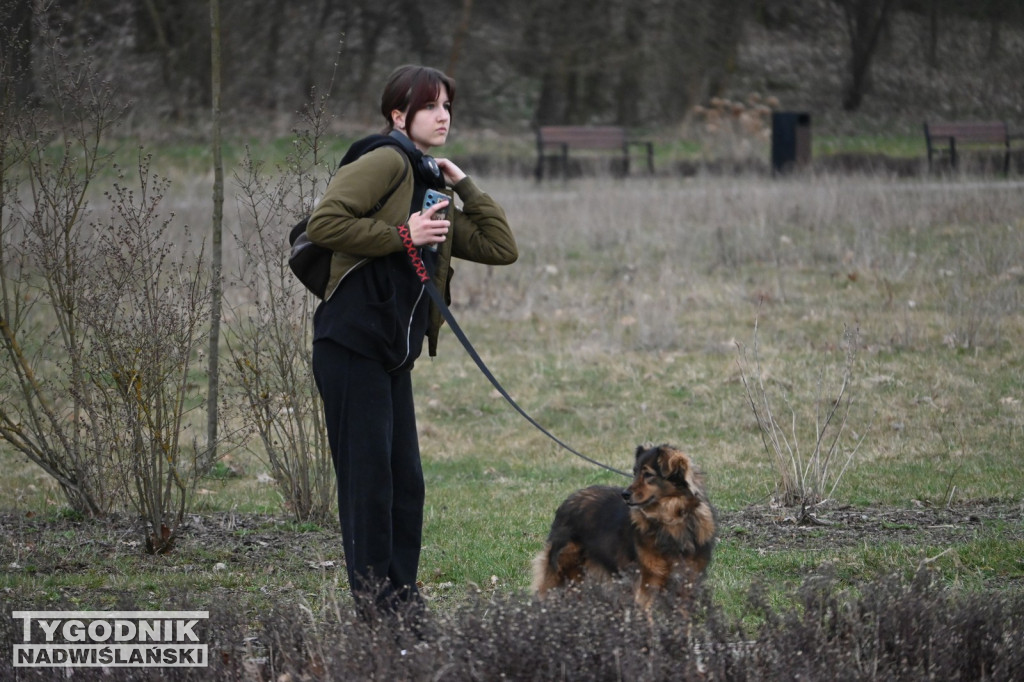 Piknik dla Schroniska u Machowiaków w Tarnobrzegu